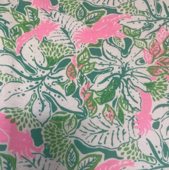 Lilly Pulitzer Size Small Geanna Short Sleeve Dress Floral Bird Print - Picture 10 of 10